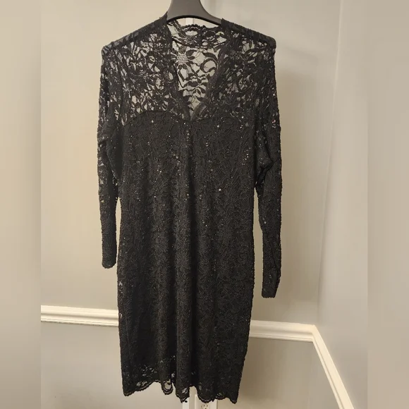 Black lace dress... with a little sparkle - Picture 1 of 9